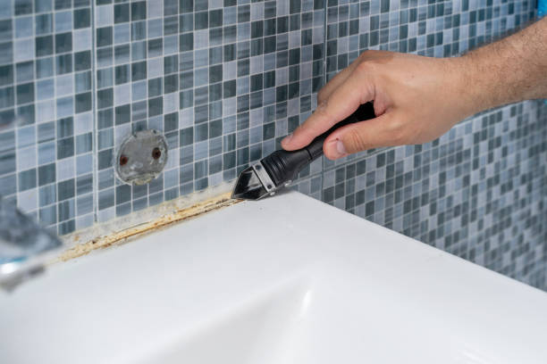 Best Affordable Mold Removal  in Kaneohe, HI